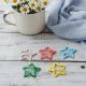 Metal Printed Star Shape Hair Clips (5 Pcs Set)