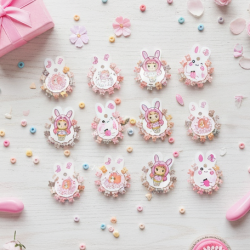 Mini Claw Hair Clips Set for Girls (12 Pkt / 1 Set)