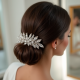 Crystal Embellished Hair Clip