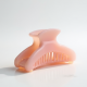 Translucent Pastel Acetate Claw Clip